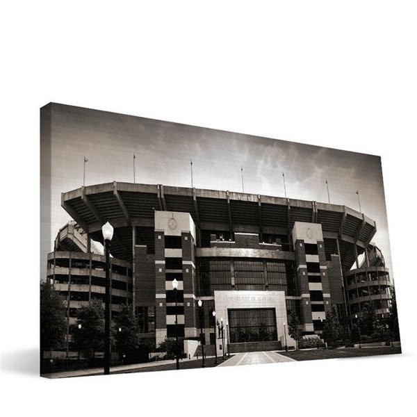 Paulson Designs Alabama 16x36 Bryant-Denny Stadium Canvas ALBD1636